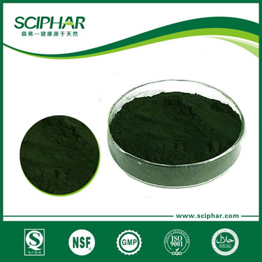 <b>Spirulina powder</b>