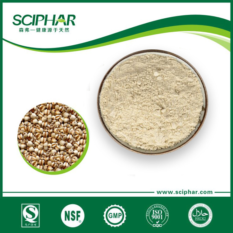 Coix Seed Powder