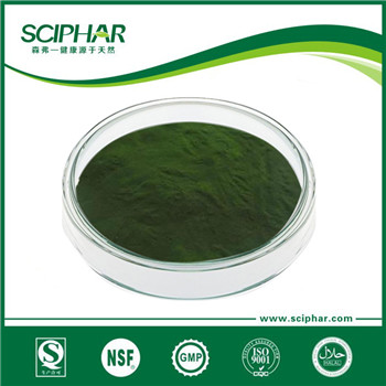 <b>Chlorella powder </b>