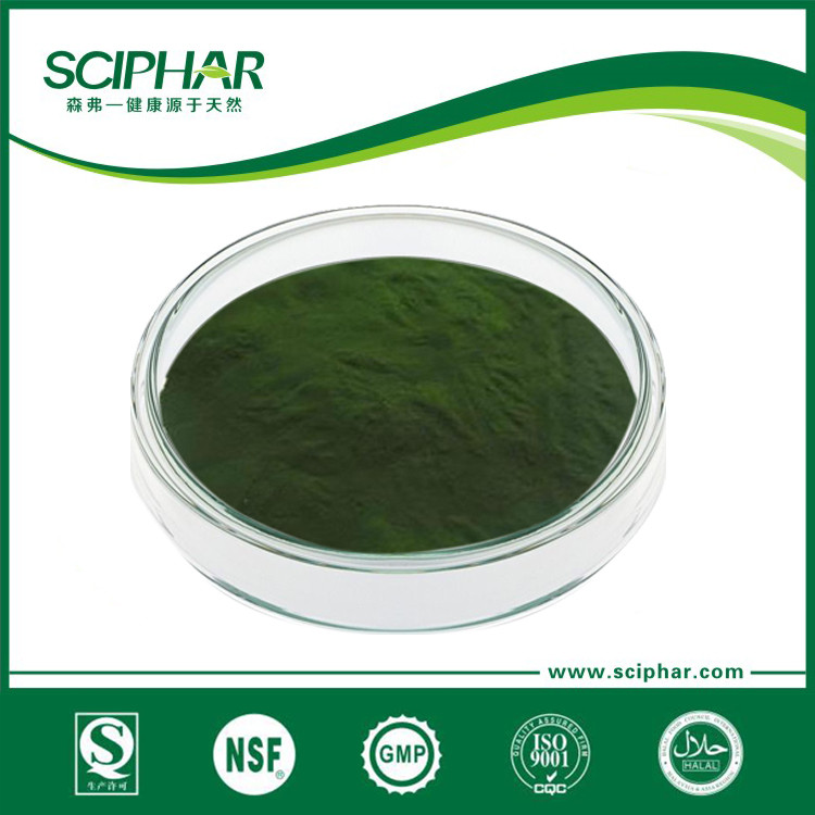 Chlorella