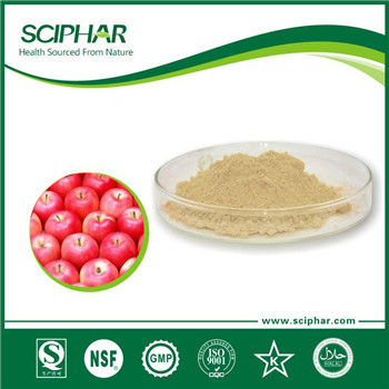 Apple Powder