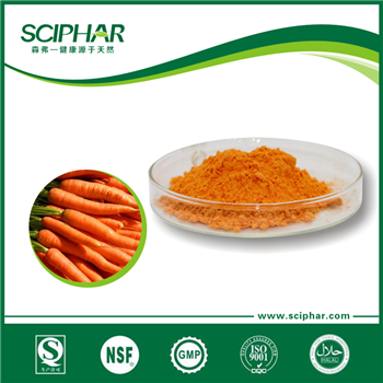 Carrot Powder