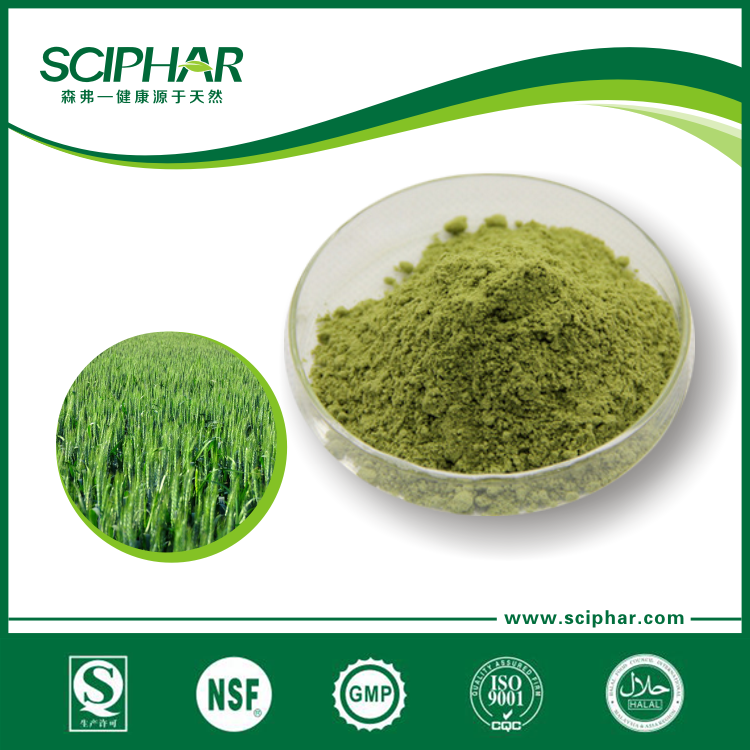 Barley Grass Powder