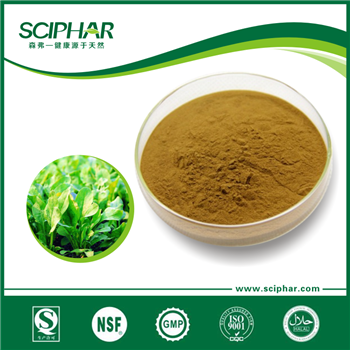 Green Tea Powder